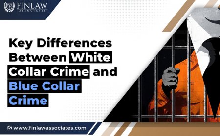 Key Differences Between White Collar Crime and Blue Collar Crime