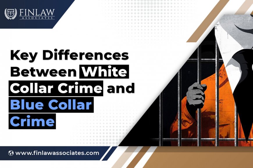 Key Differences Between White Collar Crime and Blue Collar Crime