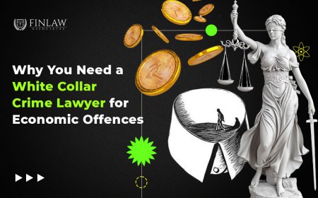 Why You Need a White Collar Crime Lawyer for Economic Offences in India