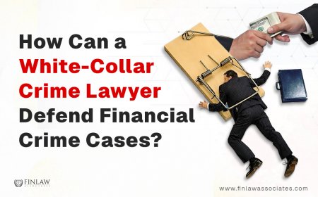 How Can a White-Collar Crime Lawyer Defend Financial Crime Cases?