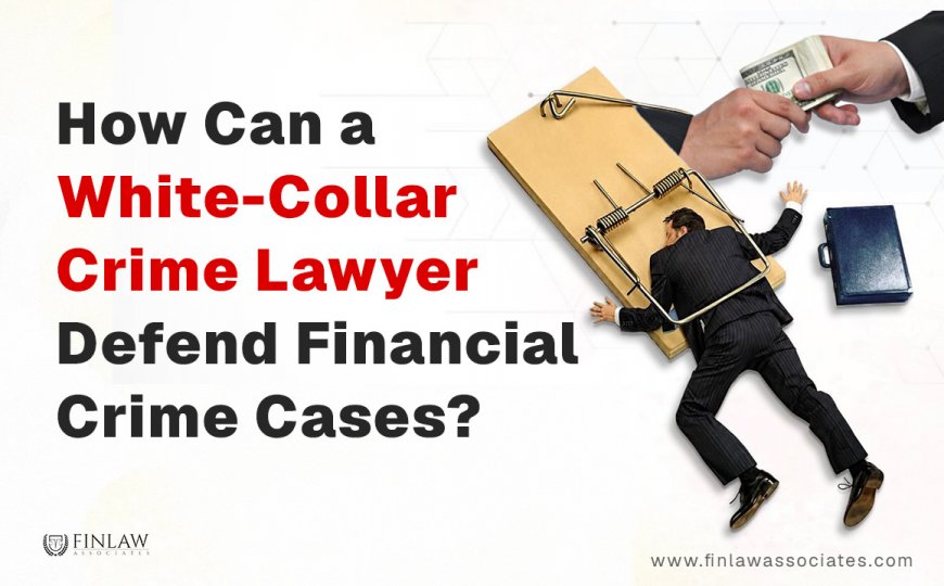 How Can a White-Collar Crime Lawyer Defend Financial Crime Cases?